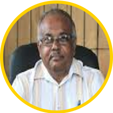 Colonel the Hon. Errol Johnson, CD, BH(M), JP