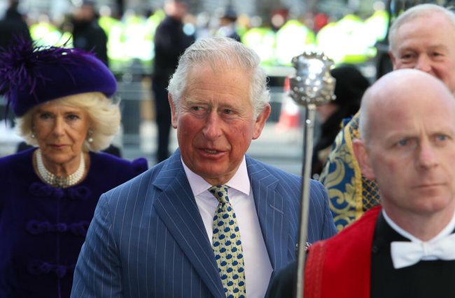 46437029845_cb0281b037_b